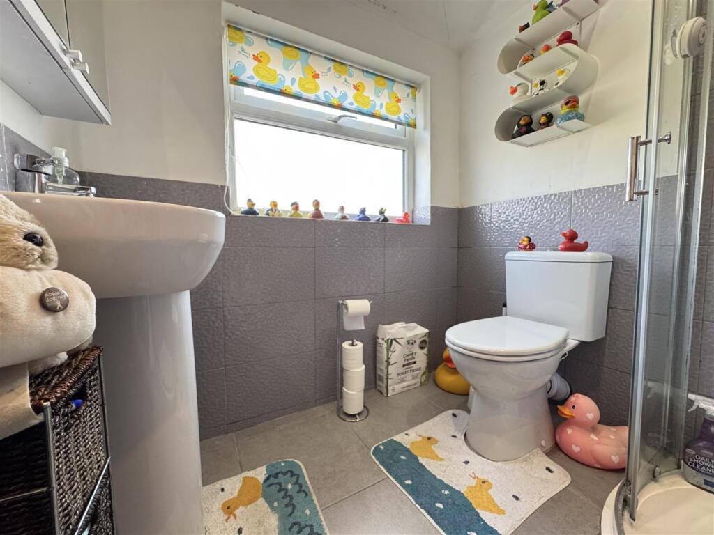 IMG_9487 (Large).JPG