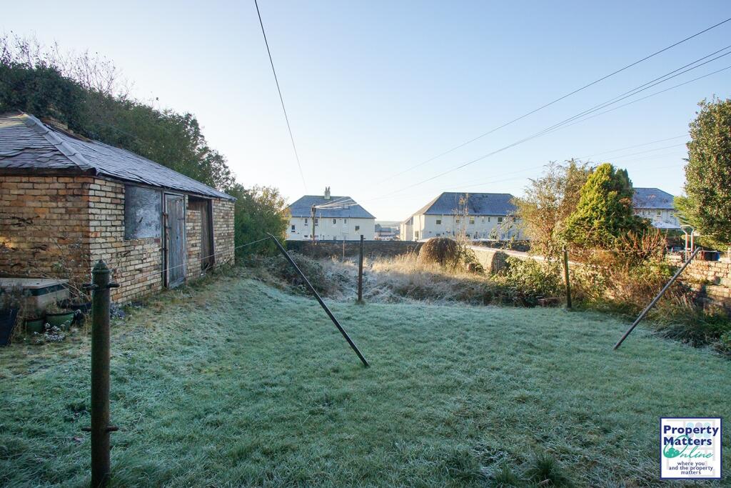 Back garden