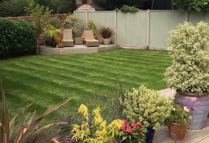 Summer garden shot.jpg