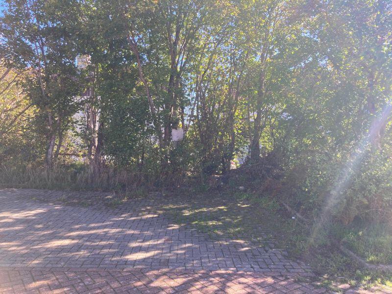 Allocated Parking Area