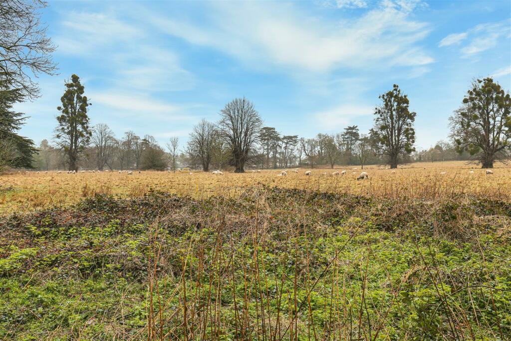 Outlook Over Field.jpg