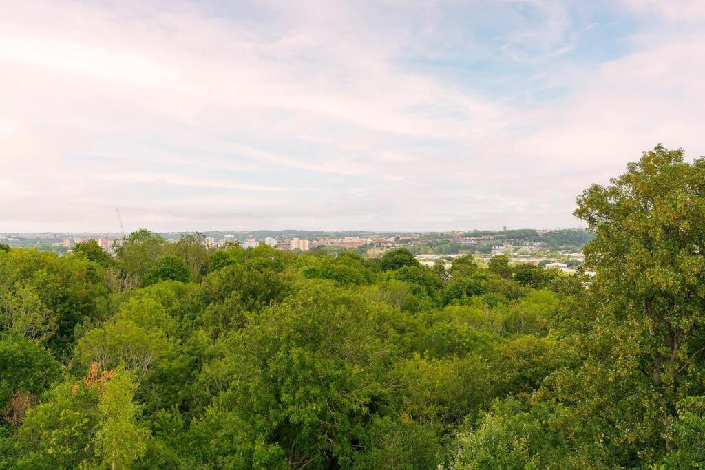 1S5R1KE - The View A.jpg