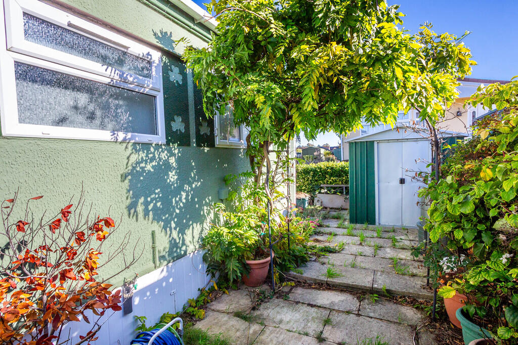 Side garden area