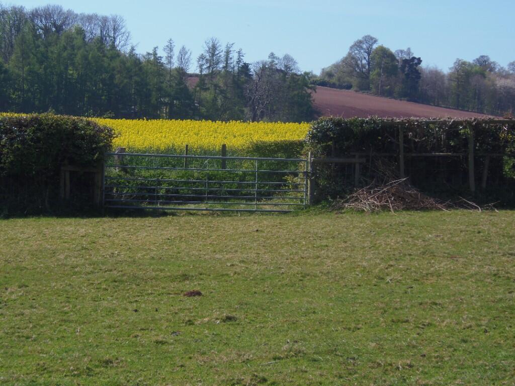 Gate Way