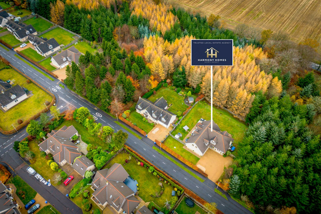 LANDSCAPE (1 of 5).png