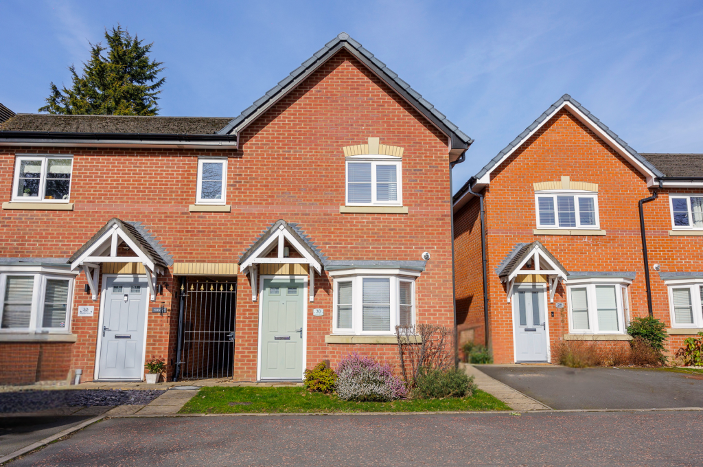 Untitled design (12)