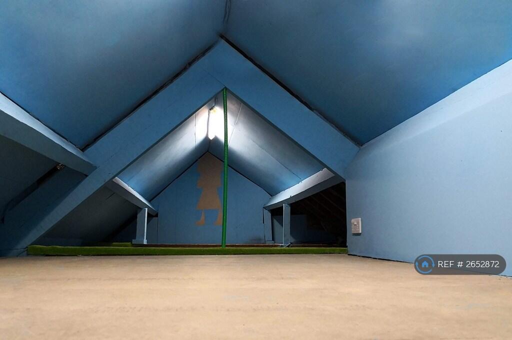 Large Attic For Storage