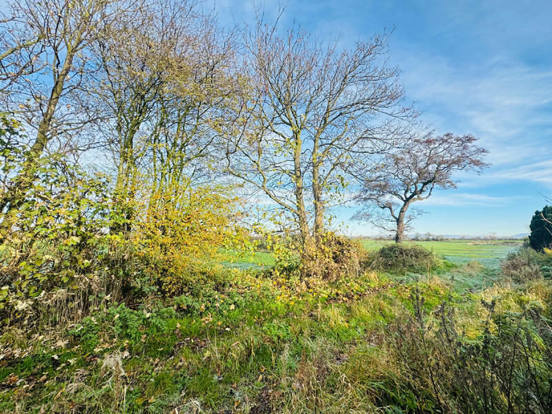 Enviable Semi-Rural Surroundings