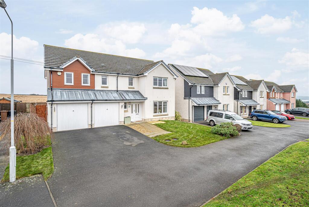 untitled (1 of 1).JPG