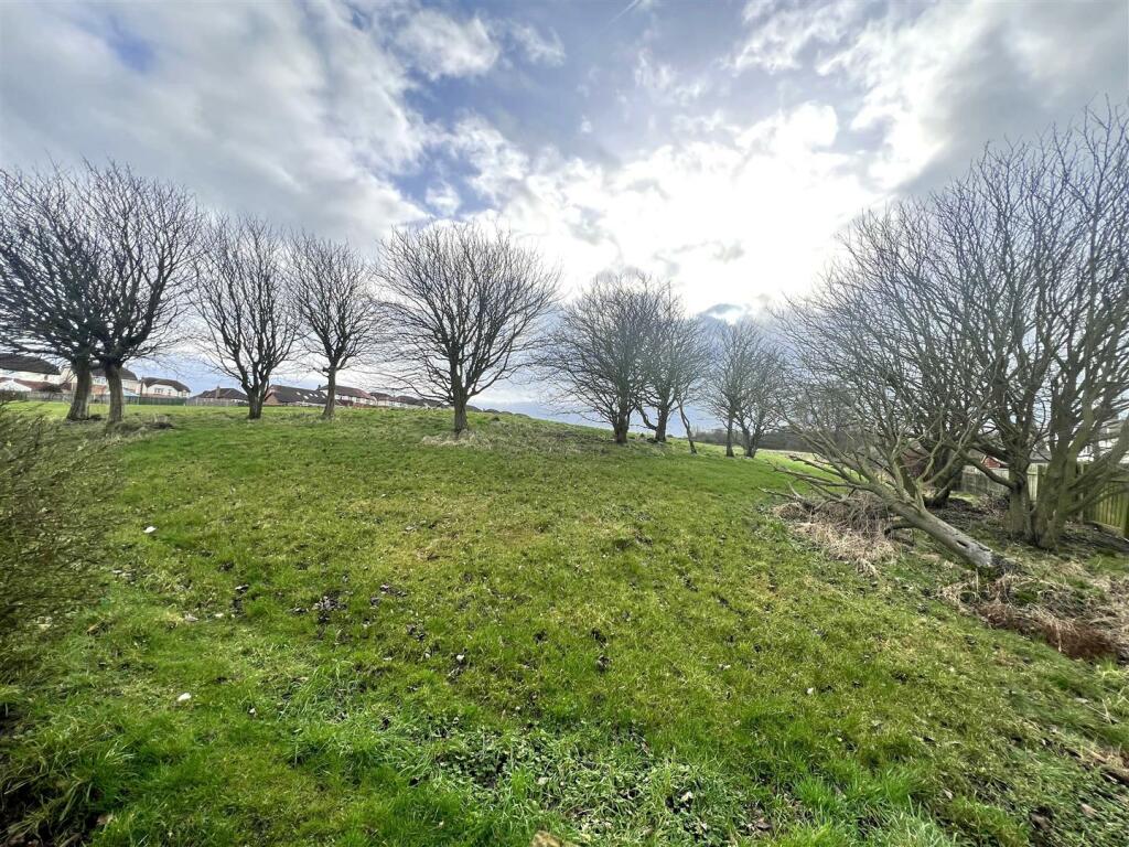 418234731_941267014223966_1630383651694278737_n.jp