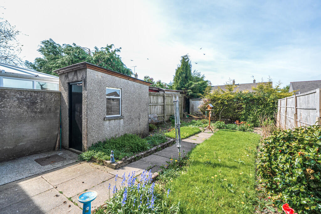 Rear garden