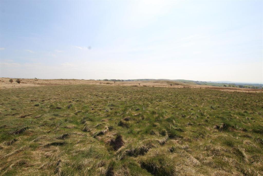 land 7.JPG