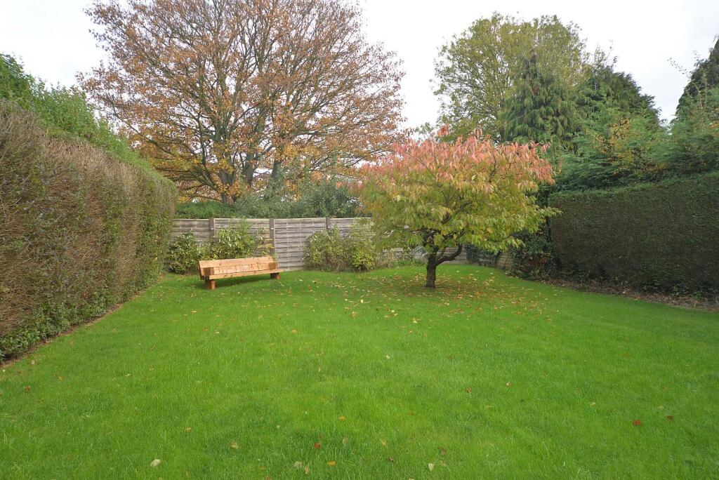 Garden 1.JPG