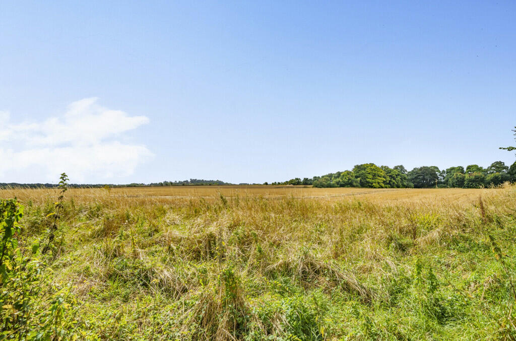 Countryside Views