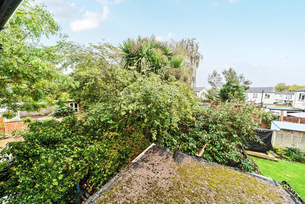 1362592-11-68dfa4...