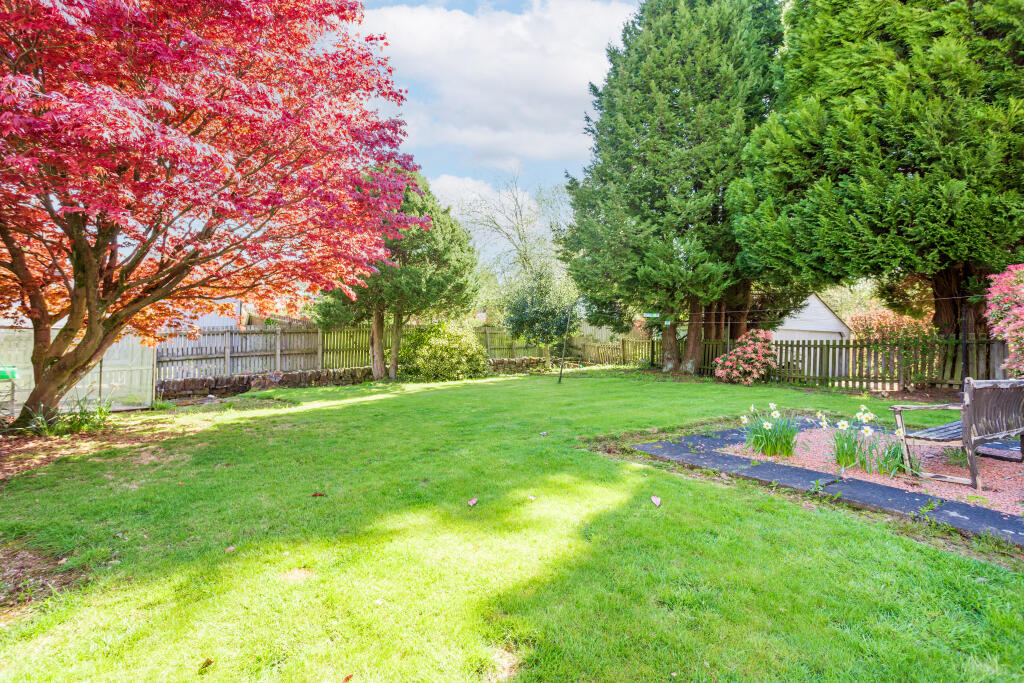 External - Rear Garden