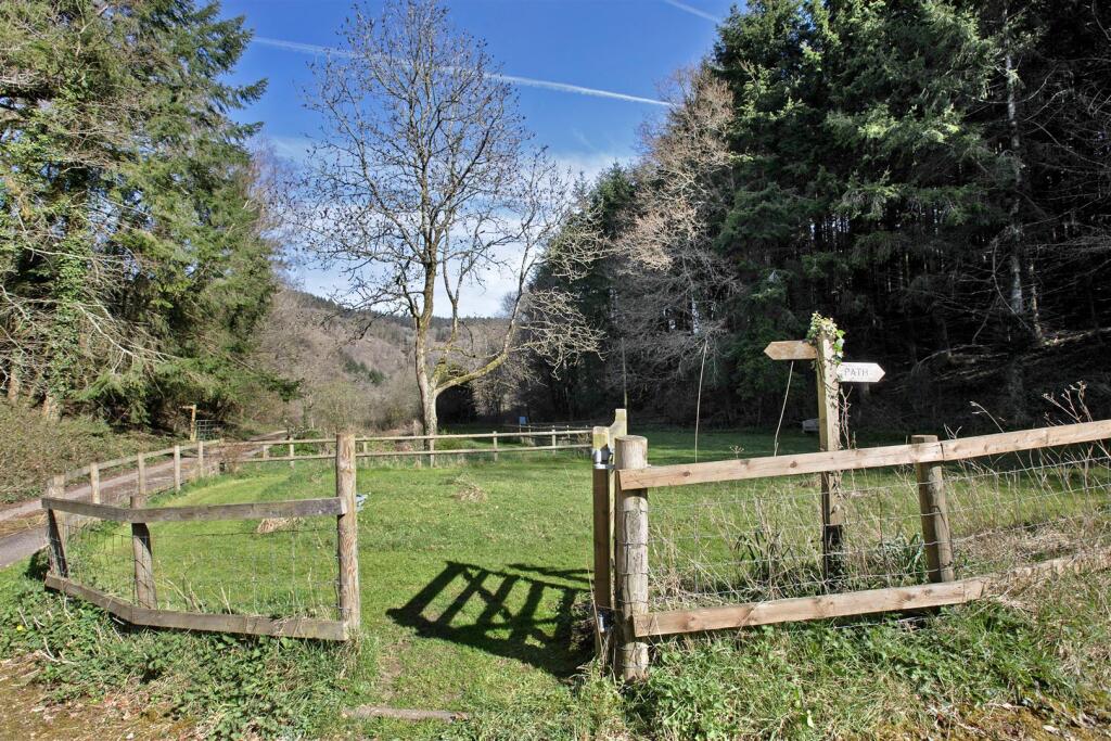 Dog Exercise Paddock