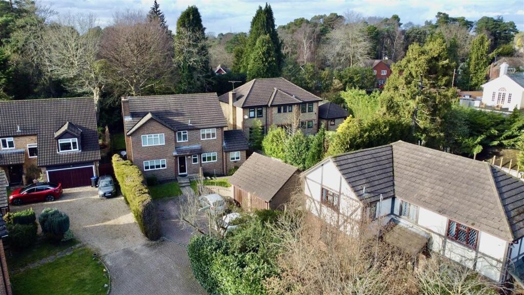 dji_fly_20250225_150836_270_1740496488911_photo_op