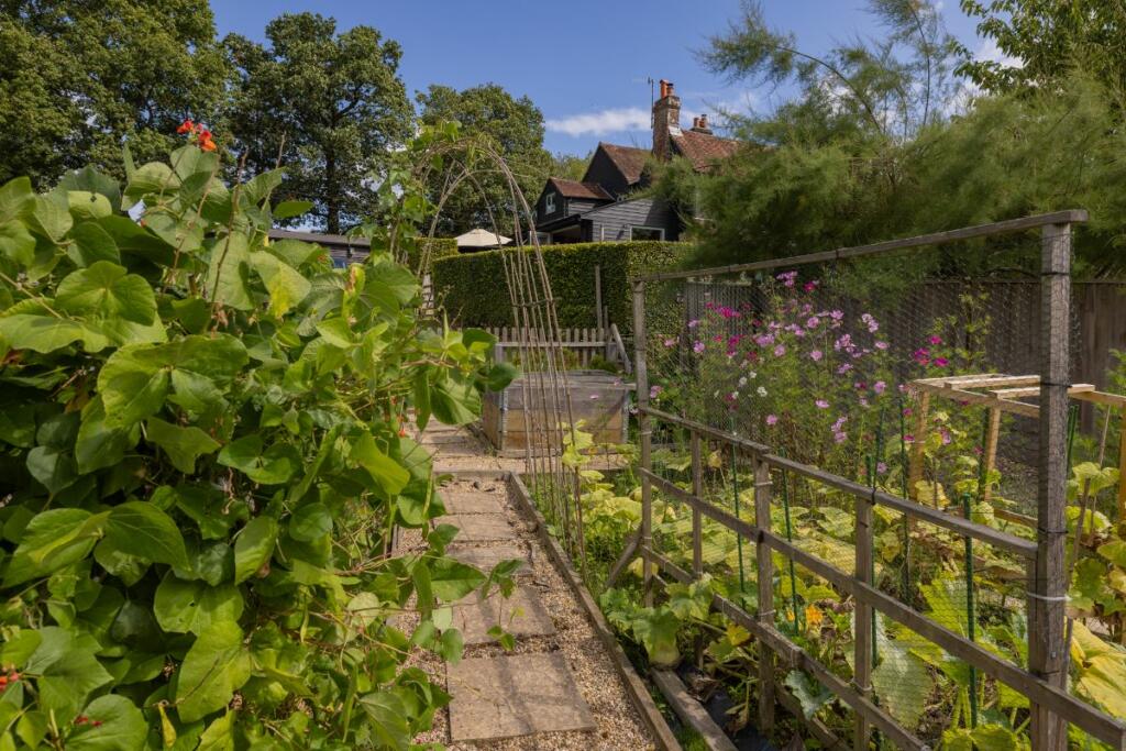 Vegetable garden