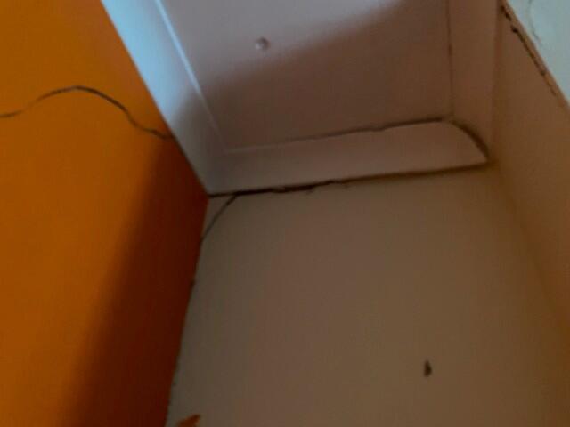 Crack 2 T202510231634.jpg