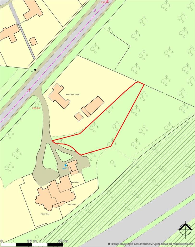 Edozo The Old Orangery GU26 6BQ.jpg