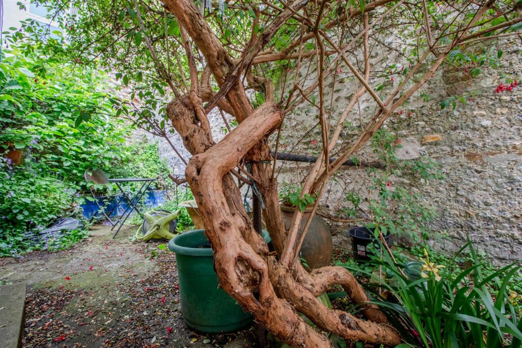 Garden Area
