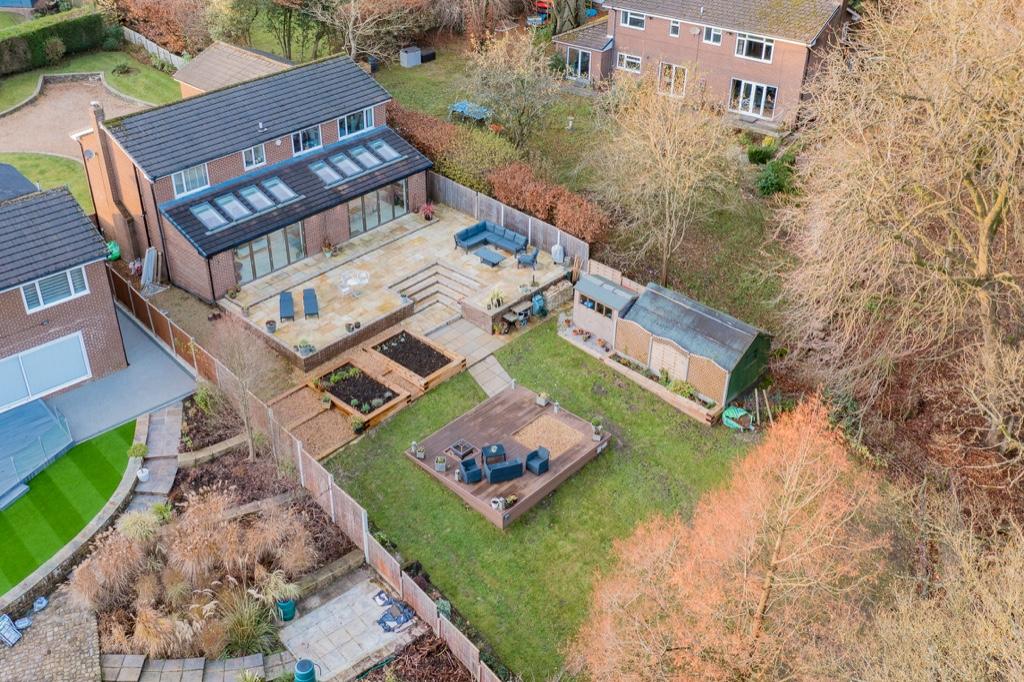 Aerial Shot 