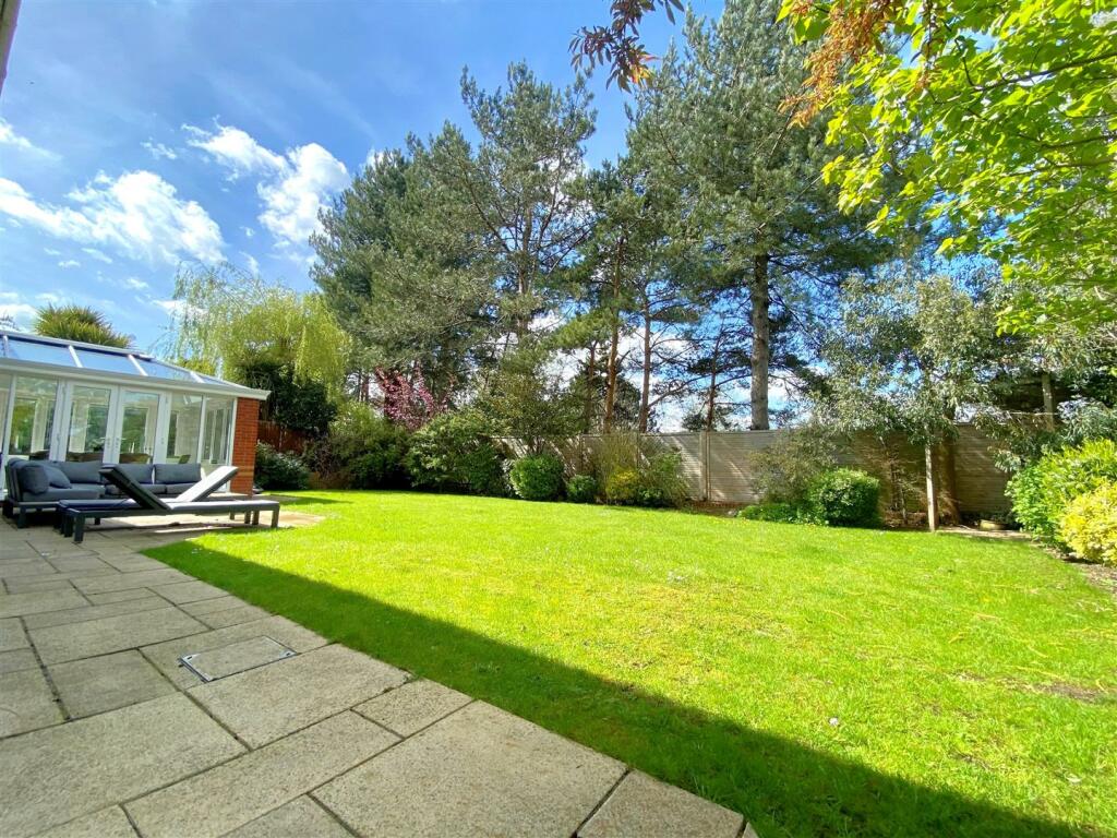 new garden 2.jpg
