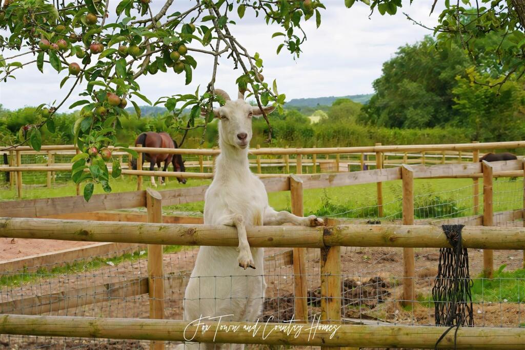 First Acres (48).jpg