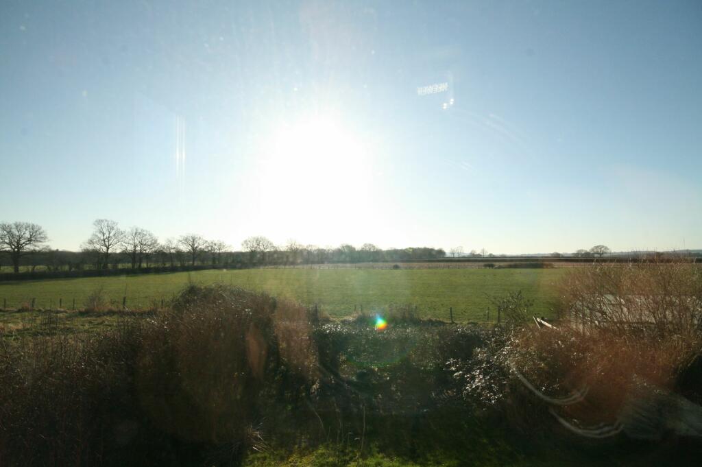Photograph 16