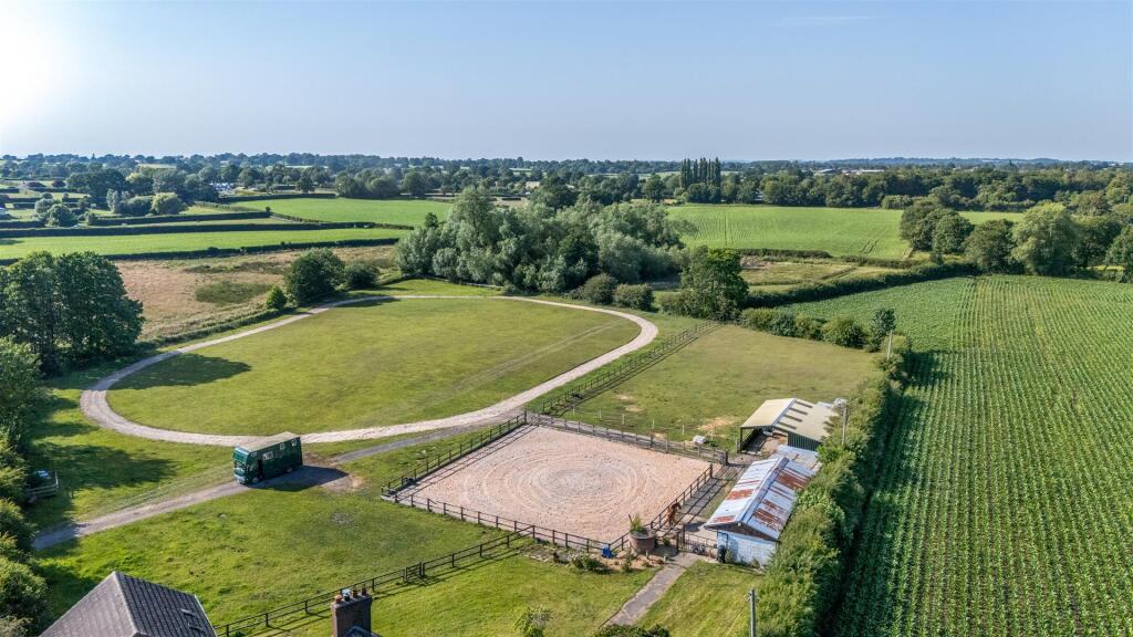 Aerial Gallops