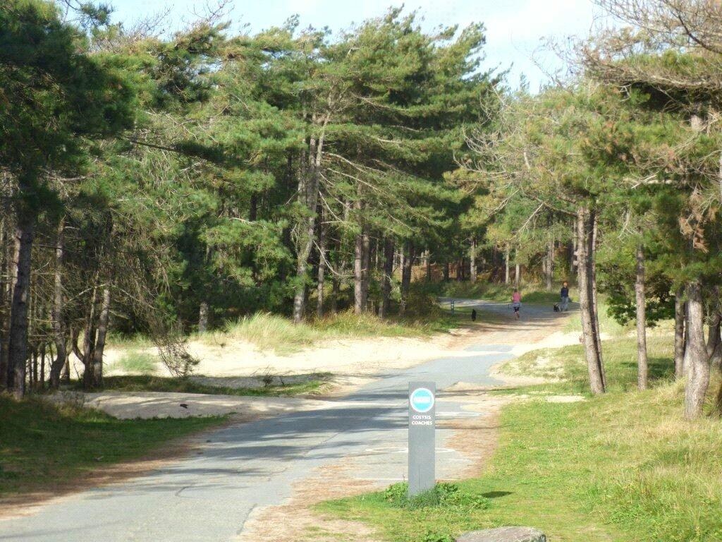 Cycle Tracks