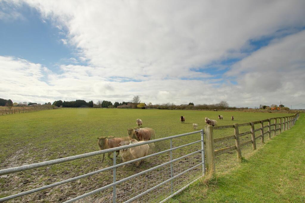Additional Land