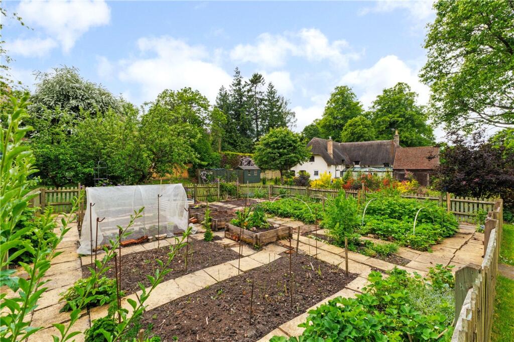 Vegetable Garden