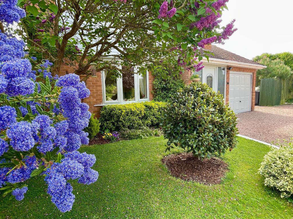 Garden in bloom