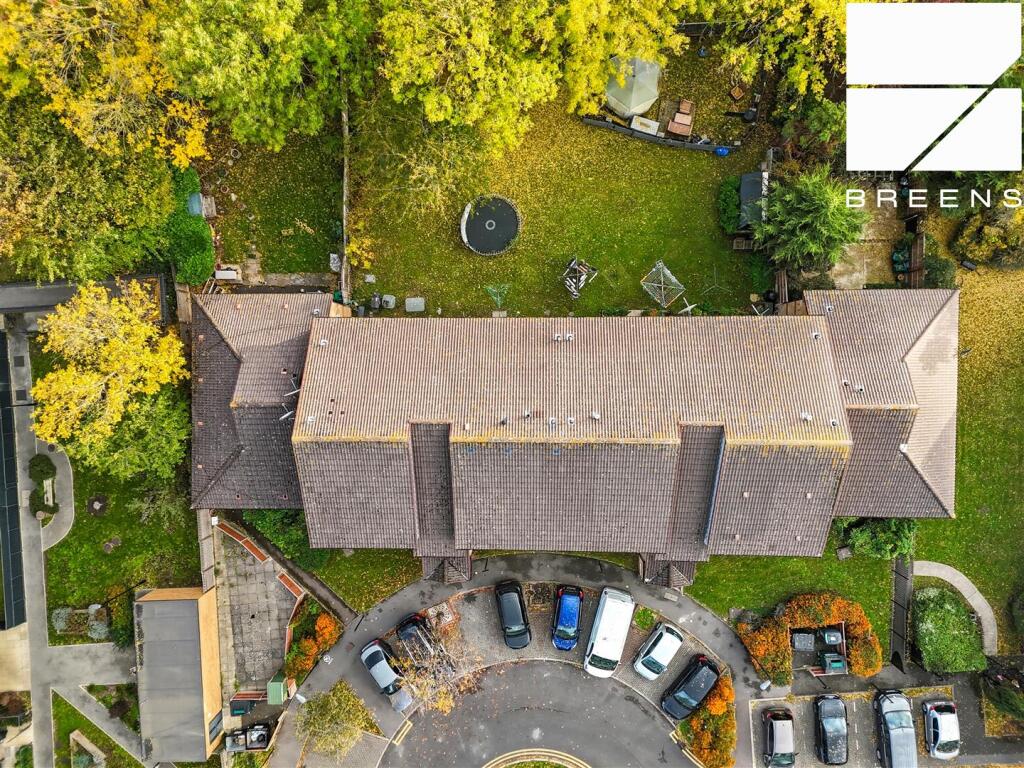 dji_20251024163207_0697_d.jpg