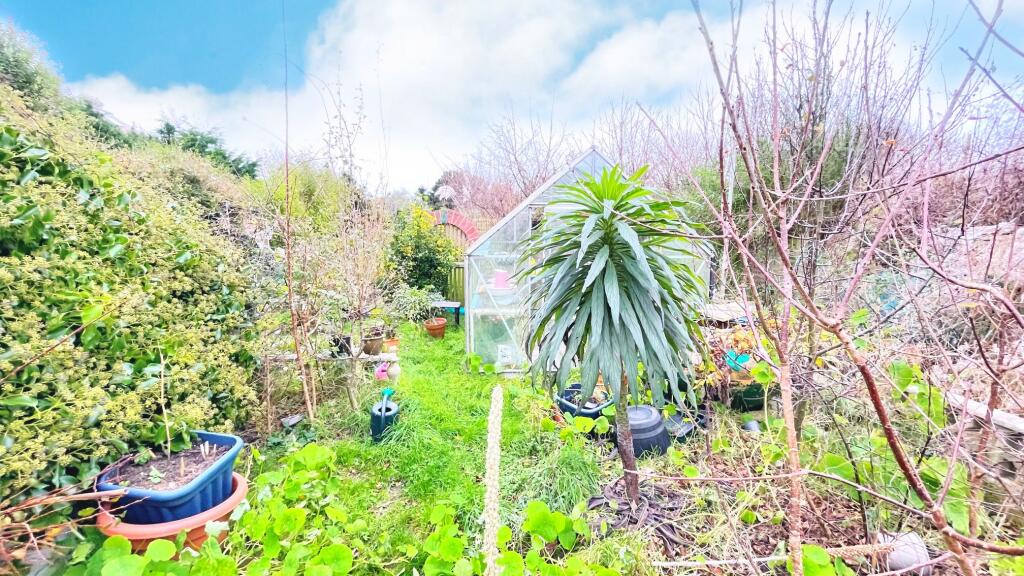 Garden 4