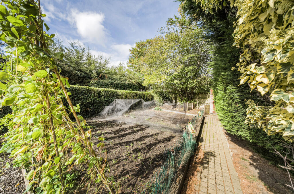 1354235768c9625aa4c46