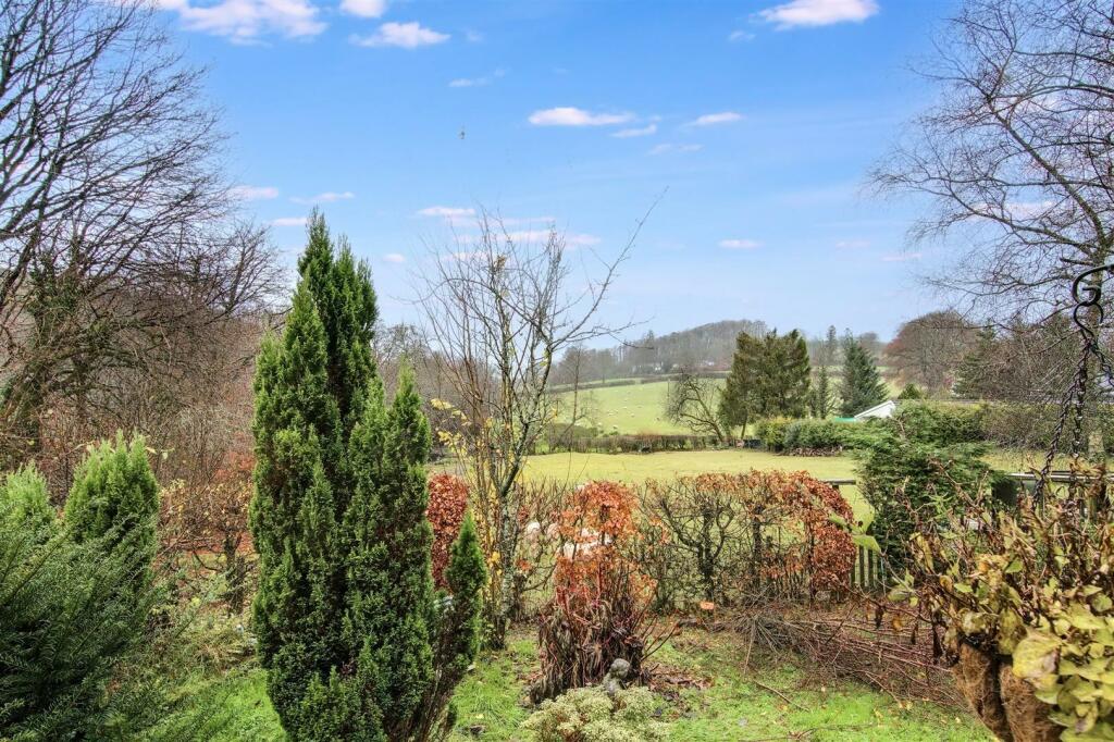 View from Rear Garden