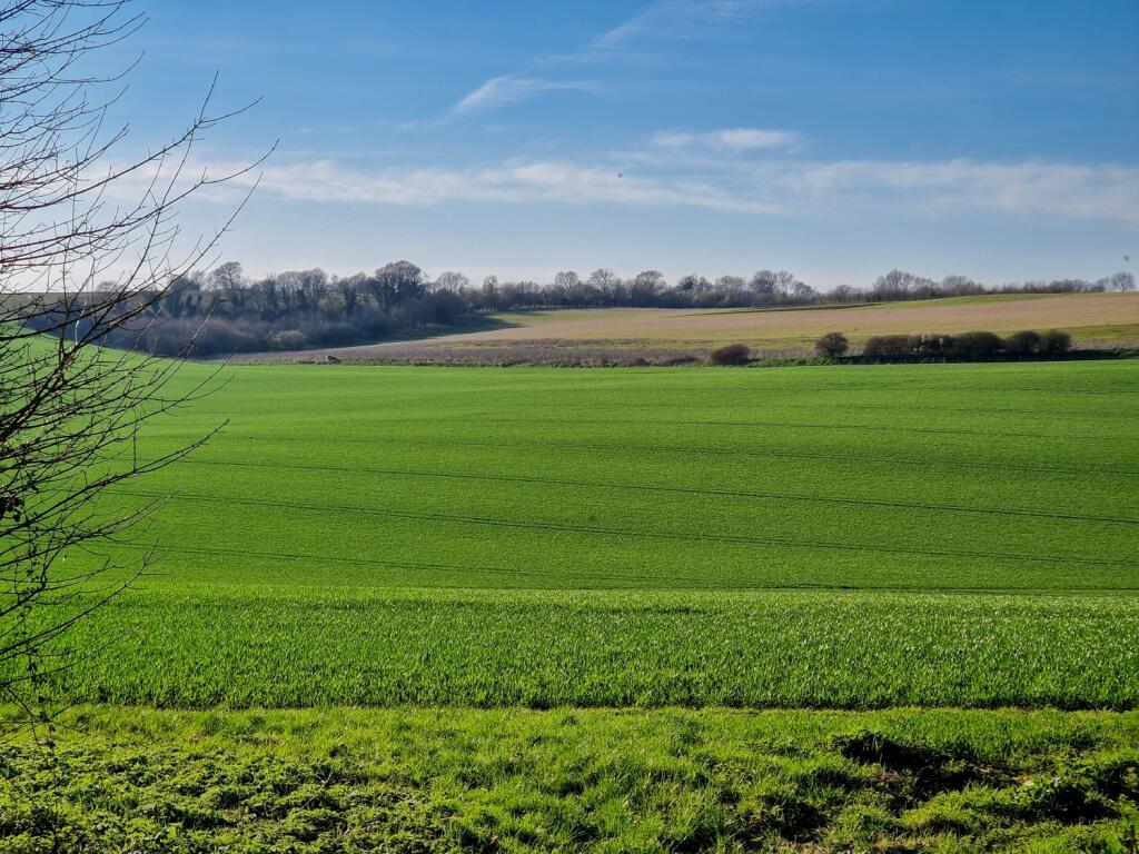 20230404-20230404_173409