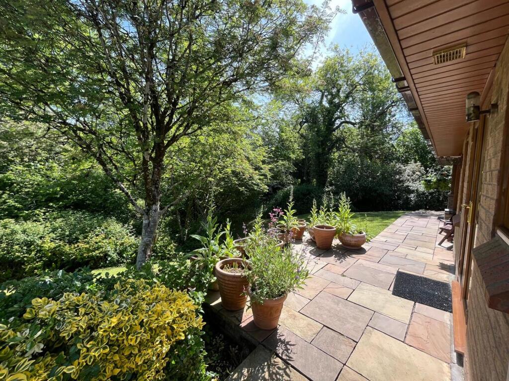 PHOTO-2025-05-16-12-00-58 2.jpg