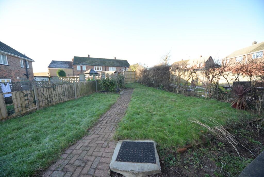 Garden .jpg