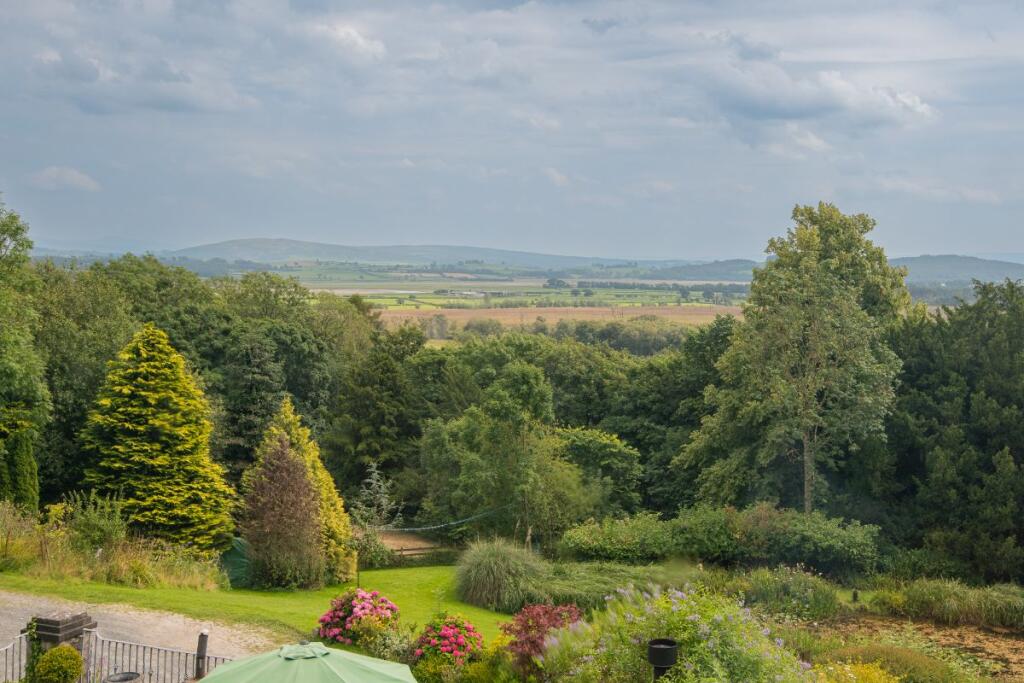 View from Bedroom