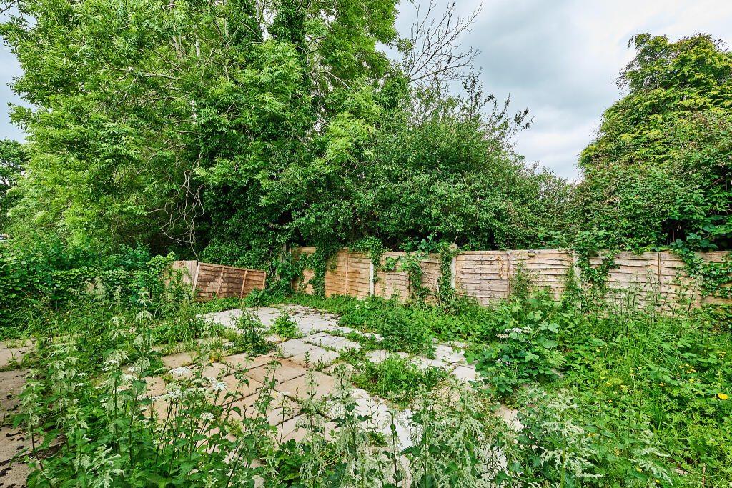 P1462313 T202505302112.jpg