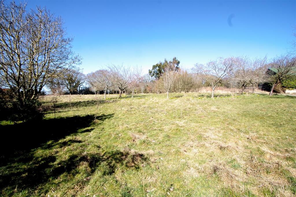 VIEW S1.jpg