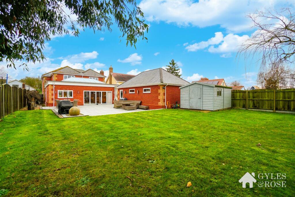 Back garden