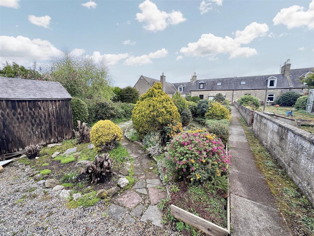 garden 2.jpg