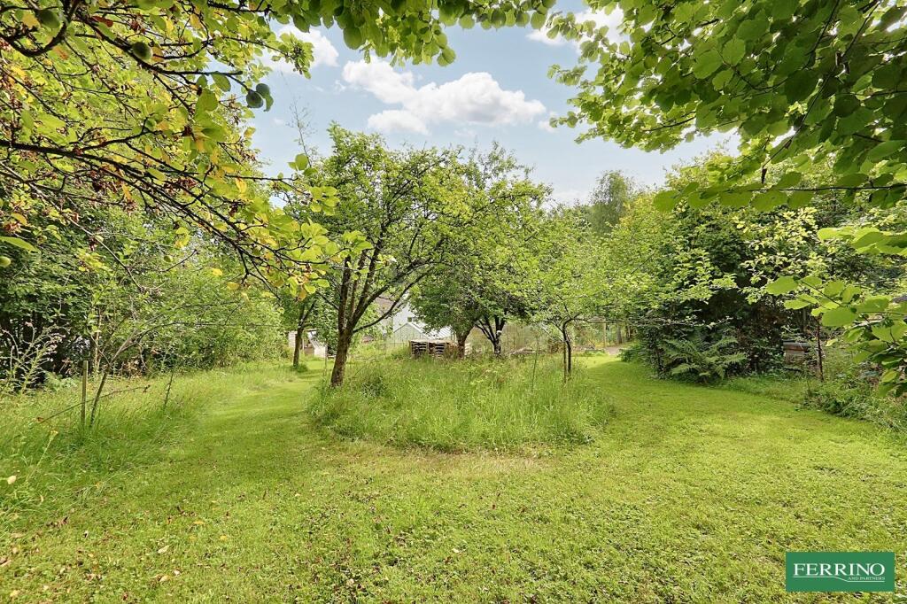 Orchard