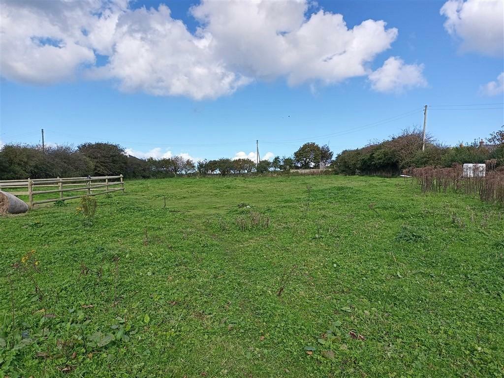 Paddock 1 - Other View