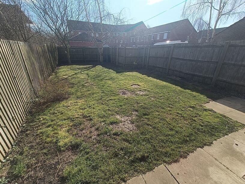 Garden view 2